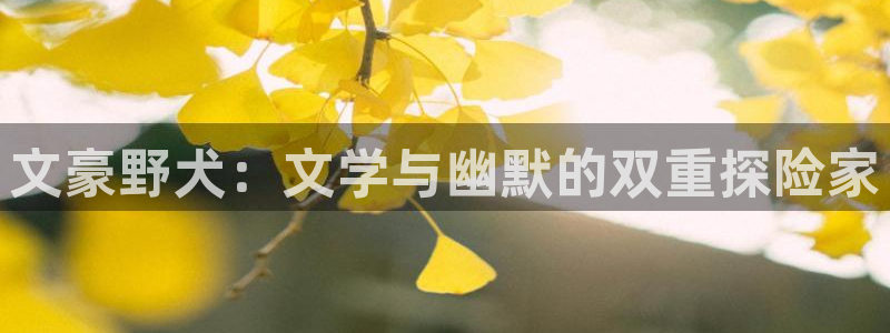 星辰于我漫画免费阅读包子漫画：文豪野犬：文学与幽默的双重探险家