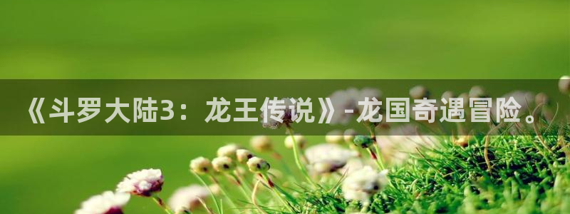 斗罗大陆漫画完整包子漫画：《斗罗大陆3：龙王传说》-龙国奇遇冒险。