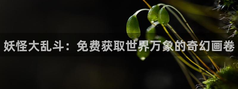 进化狂潮漫画免费漫画包子漫画：妖怪大乱斗：免费获取世界万象的奇幻画卷